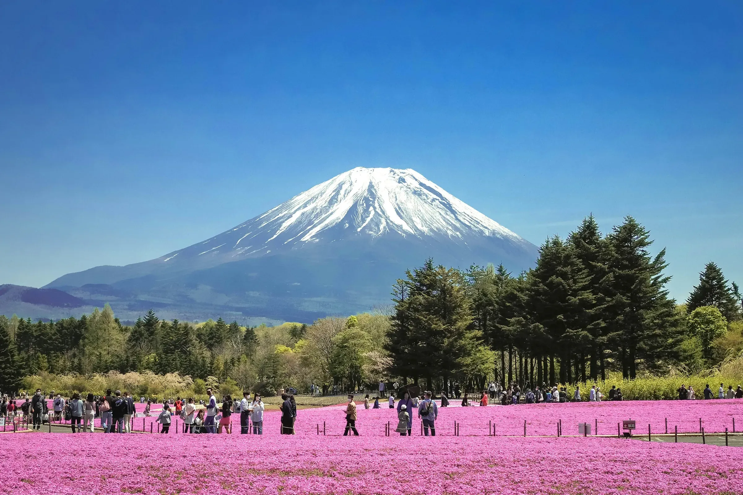 日本